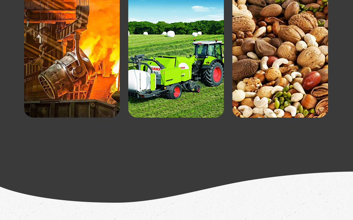 AC系列 電子分析天平