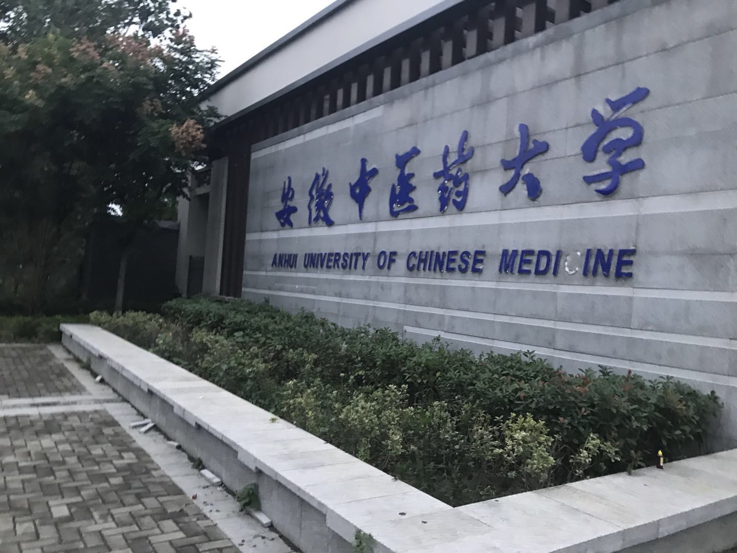 安徽中醫(yī)藥大學