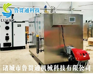 1噸燃?xì)猓ㄓ停┱羝l(fā)生器 現(xiàn)貨供應(yīng)，工廠直銷，規(guī)格型號眾多，可來電咨詢