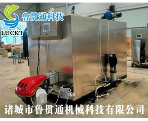 1噸燃?xì)猓ㄓ停┱羝l(fā)生器 現(xiàn)貨供應(yīng)，工廠直銷，規(guī)格型號眾多，可來電咨詢